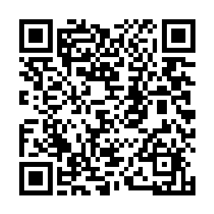 徐丽冰再次施展了那让他们两人保住性命的阴阳和合法二维码生成