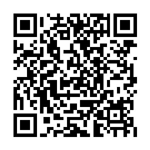 徐二公子早早的成婚了人家不也过的美满幸福么二维码生成