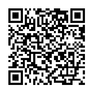 徐凌和杨宏面色难看的看着那些站到妖帝身后的众人二维码生成