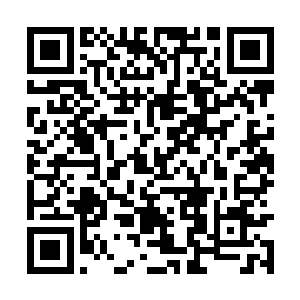 徐凤年不像以往枕着红薯大腿或者把玩绿蚁的手指二维码生成