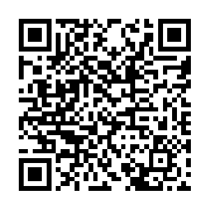 徐凤年不奢望这只西楚小猫能被一番混话就给驯服二维码生成