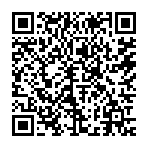 徐凤年不得不让陈云垂林斗房这些与老帅辈分相同的徐家老人出面劝说二维码生成