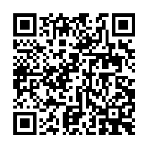 徐凤年双指夹住在那里近水楼台揩油的白猫武媚娘二维码生成