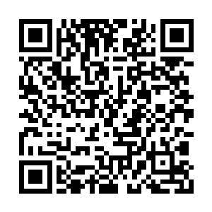 徐凤年和呼延大观一人一骑在夜深时分稍稍绕路二维码生成