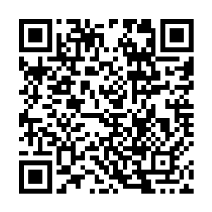 徐凤年在丹铜关里好不容易逮着一个能说上话的同龄人二维码生成