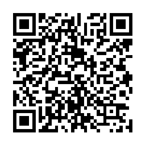 徐凤年在拂水房搜集到的谍报上得知这位柴夫人是东越遗民二维码生成