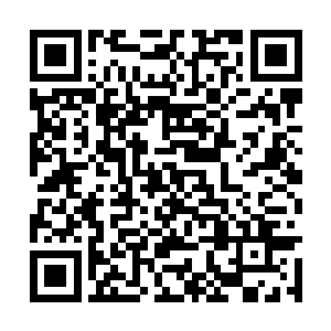 徐凤年对这个一起长大的丫鬟姐姐没有什么猜忌心二维码生成