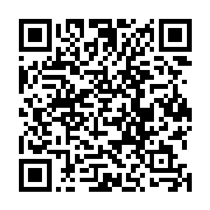 徐凤年怎么都没有想到那个小叫花子会是如今的世子赵铸二维码生成