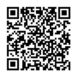 徐凤年恨不得一脚把这躲乌龟壳里不探头的胆小鬼给踹死二维码生成