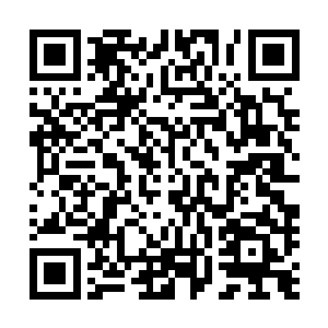 徐凤年把腰间北凉刀摘下放入搁在门口两侧的一只大竹篓里二维码生成