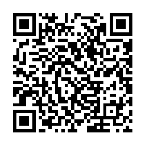 徐凤年见大戟宁峨眉这汉子只是沉溺于震撼惊喜中二维码生成