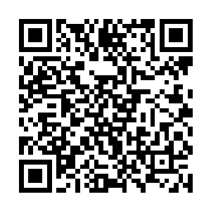 徐凤年让双腿已经失去知觉的王大石站起来做回床沿二维码生成
