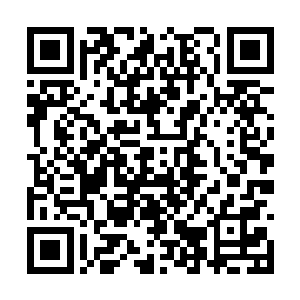 徐凤年跟满脸探询意味的谢谢即将擦肩而过的时候二维码生成
