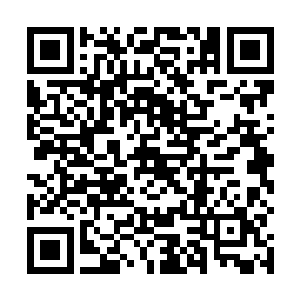 徐北枳和徐凤年曾经有过一场听上去很轻松闲适的对话二维码生成