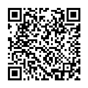 徐可欣当初的二胎宣言信誓旦旦一家人兴师动众的二维码生成
