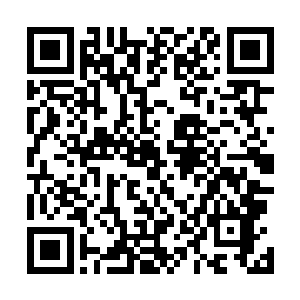 徐堂然落在了嬴家的手上基本上是没有活着回来的可能了二维码生成