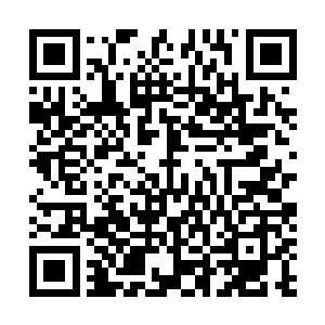 徐大公子的注意力果然最先注意到了还没到手的凤凰琴上二维码生成