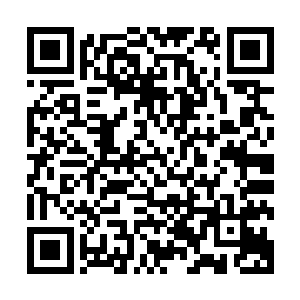 徐天涯就将千面无常吸收的金雷吞天诀功力吸入自己体内大半二维码生成