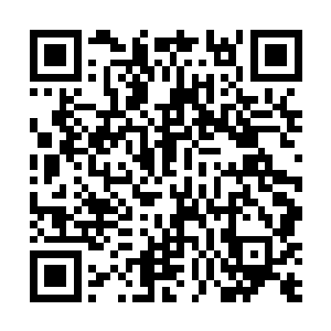 徐天涯所要承受的将会是仙界之中最为残酷的毁灭雷罚二维码生成