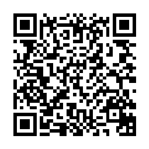 徐天涯此刻却是在虚空宝塔之内观看着虚空宝塔内部二维码生成