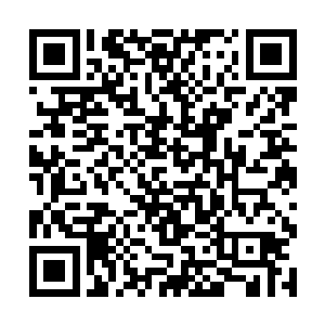 徐天雕被金无敌带着来到了许紫烟的那棵大树的下方二维码生成