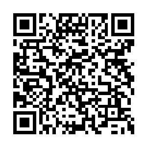 徐妈妈这个时候除了找皇甫君媃帮忙找不到别人二维码生成