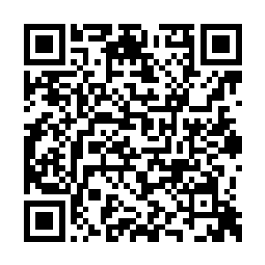 徐娇娇虽然不具备苏林那样强大的时机掌控能力二维码生成