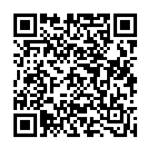 徐子真自然不愿意秦方和朱明在这时候发生冲突的二维码生成