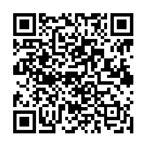 徐子陵和主子口中所说的很厉害的僵尸王究竟是哪一只二维码生成