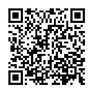 徐安宁说他已经通过关系监控进出京城的几个主要路口二维码生成