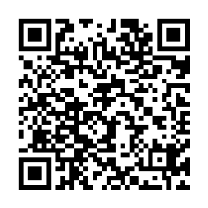 徐家人和唐家人应当是继承了他们长辈以前擅长的游击战法二维码生成