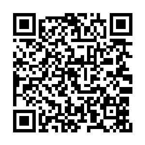 徐家的几位公子都是那种越给压力越厉害的人士二维码生成