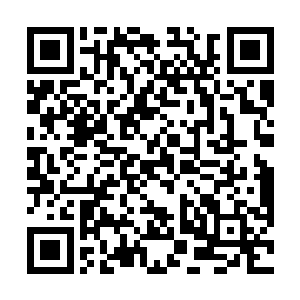 徐成周和衣晓溪两个人看到丁羽的那本读书笔记的时候二维码生成