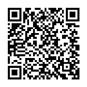 徐成有点古怪地看着兔子所化的白色利箭带着数不清的其他利箭二维码生成