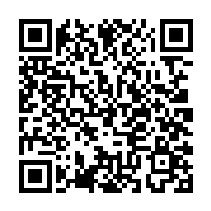 徐成看着手中那颗凝聚了此处不知道多少血气的血珠二维码生成