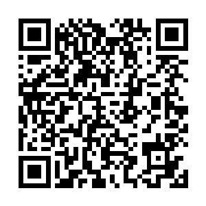 徐无言呆滞地脸上终于是浮现出了一抹极为严肃的表情二维码生成