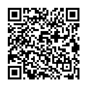 徐晓春已经真正把自己和陆为民放到了平等的位置上二维码生成