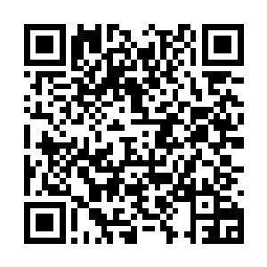 徐景之小心地将特意带来的两棵树苗栽在坟的一侧二维码生成