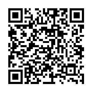徐景之打量着眼前似乎明显比他还要年轻的冷小邪二维码生成