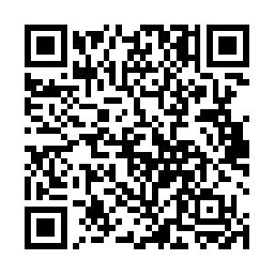 徐清柏也不得不感叹其实自己远在西陵已经算是安稳了二维码生成