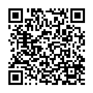 徐清锋茫然的望了一眼不知道从哪儿飞来还拍上了自己脑门的书二维码生成