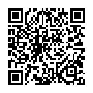 徐燕再次抬头望了望表情明显变得难看得柳传新二维码生成