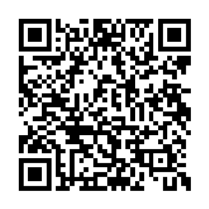 徐管家颤抖地将那两张借据双手捧到孟良娣手中二维码生成