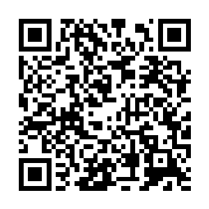 徐翕也刚从细作那里得到了马纵横今夜将回的消息二维码生成