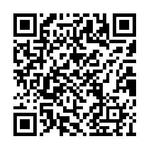 徐老爷子看到夏天走出了古玩一条街也跟了上去二维码生成