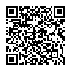 徐虹一步步走进郑卫华房间的照片也可能是事先伪造好的二维码生成