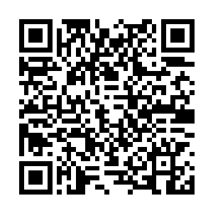 徐长老哪里知道这方天道世界还有禁古之界的存在二维码生成