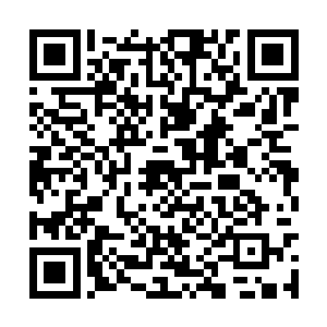 徐阶提议请嘉靖帝下令各部各官府衙自行核查官吏二维码生成