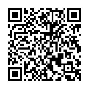 徐骁对一旁那位王朝里最富盛名的女子态度不可谓不平淡唐突二维码生成