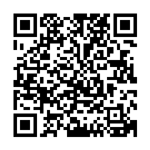 徐骁跟徐凤年以及李义山闲谈时对其余几位藩王都是冷嘲热讽二维码生成